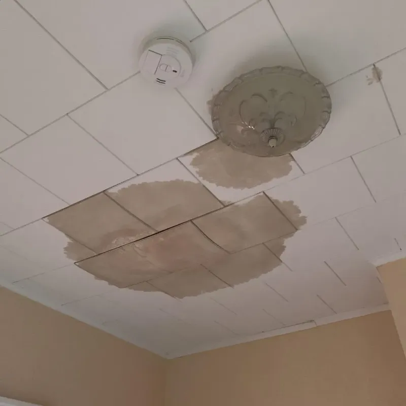 Ceiling Water Damage Repair in Scott County, IA