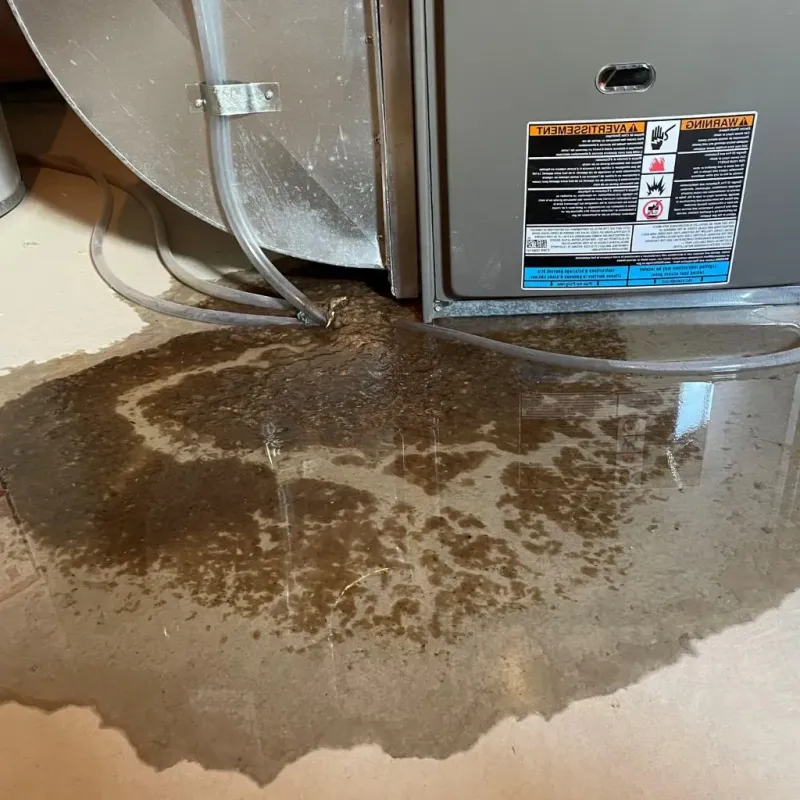 Pipe Burst and Leak Restoration in Scott County, IA