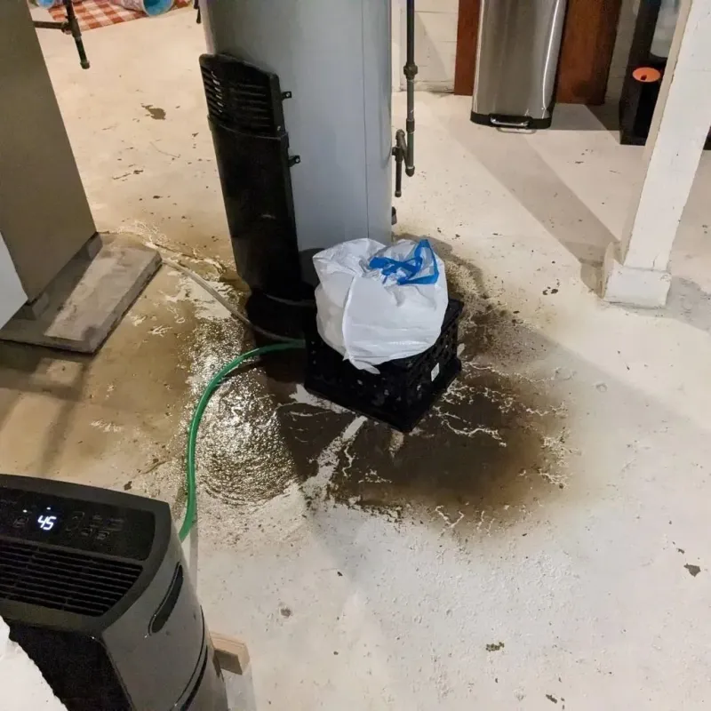 Sewage Backup Cleanup Service in Scott County, IA